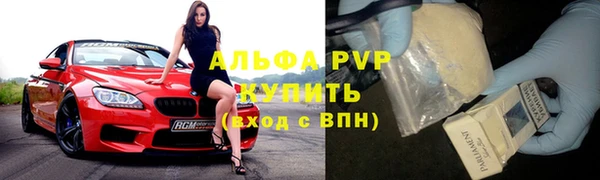 ГАЛЛЮЦИНОГЕННЫЕ ГРИБЫ Абаза