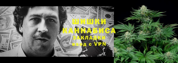 ГАЛЛЮЦИНОГЕННЫЕ ГРИБЫ Абаза