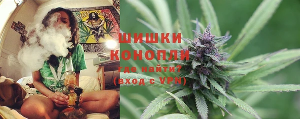 ГАЛЛЮЦИНОГЕННЫЕ ГРИБЫ Абаза